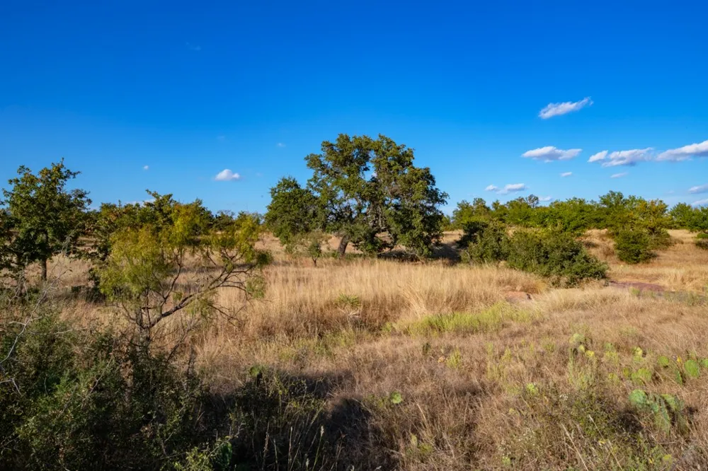 Address Not Shown Mason, TX 76842