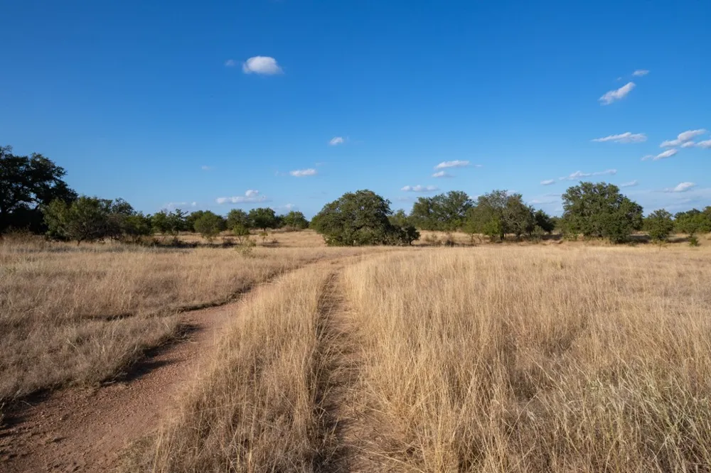 Address Not Shown Mason, TX 76842