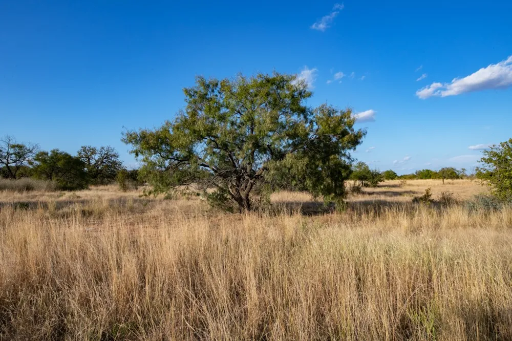Address Not Shown Mason, TX 76842