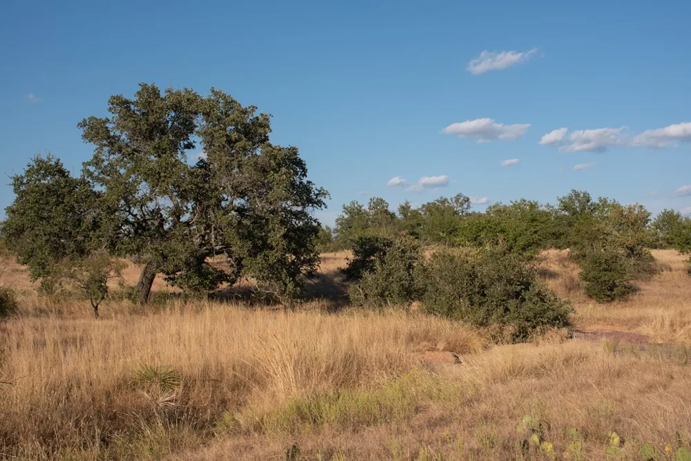 Address Not Shown Mason, TX 76842