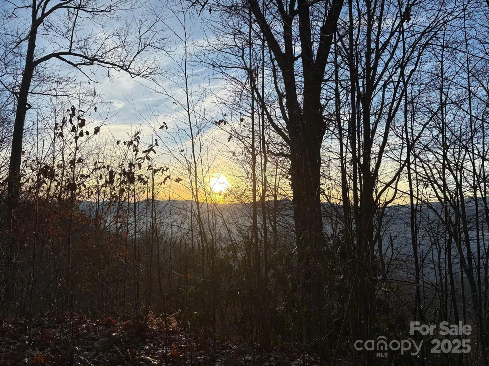 899 Hyacinth Drive Clyde, NC 28721