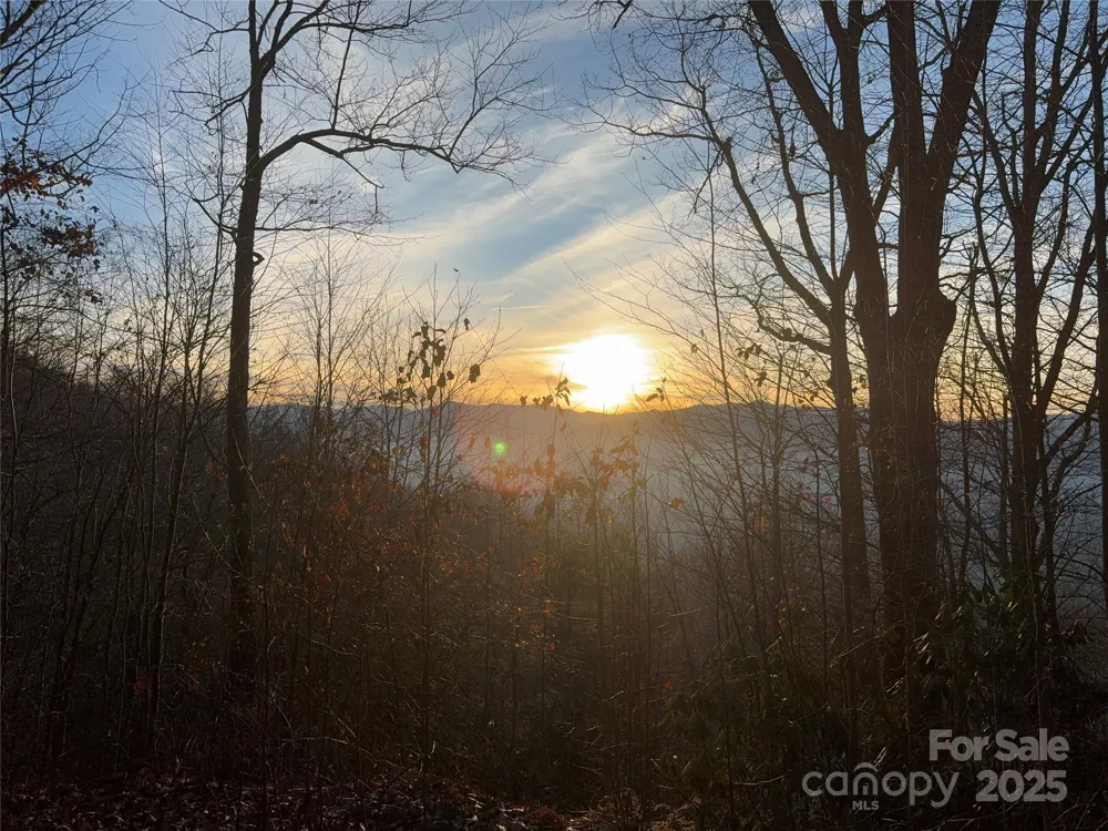899 Hyacinth Drive Clyde, NC 28721