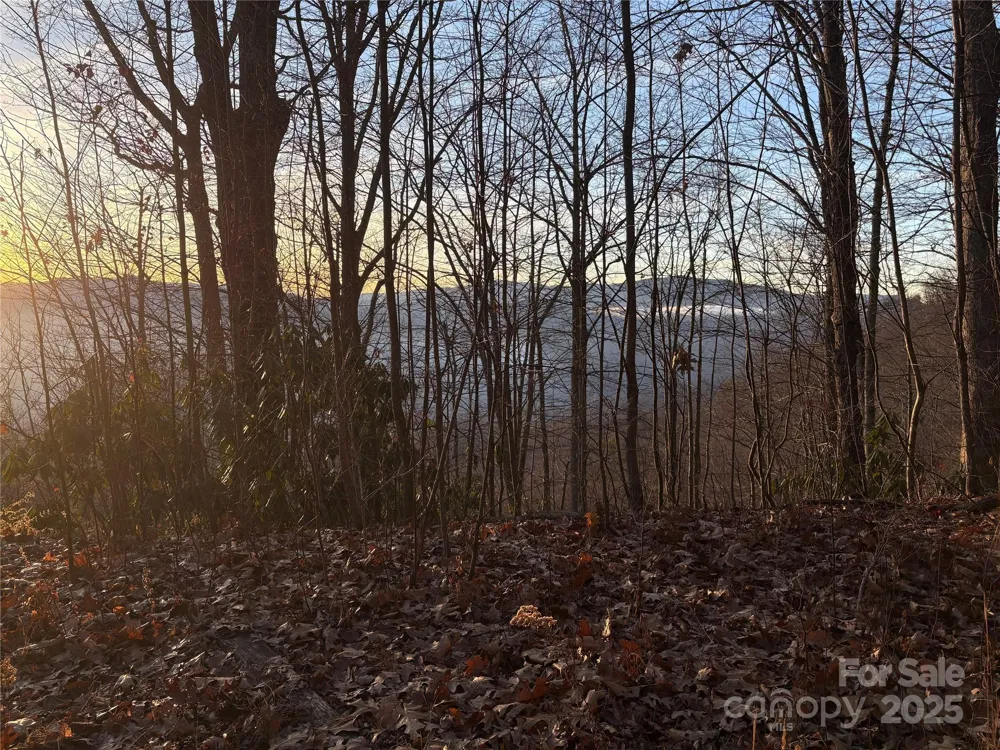 899 Hyacinth Drive Clyde, NC 28721
