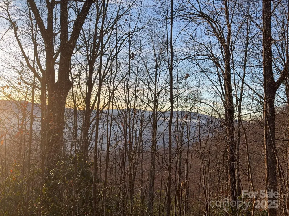 899 Hyacinth Drive Clyde, NC 28721