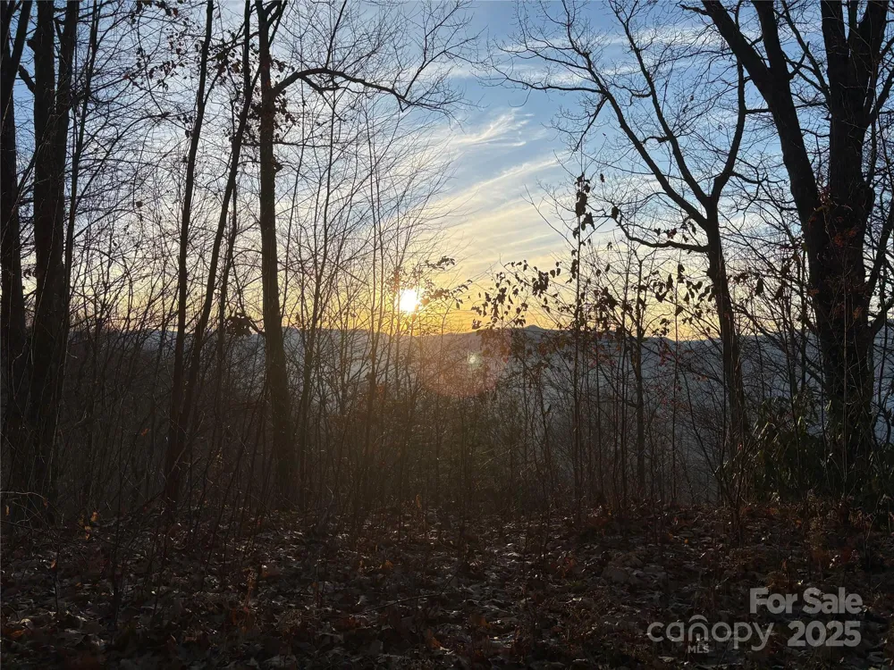 899 Hyacinth Drive Clyde, NC 28721