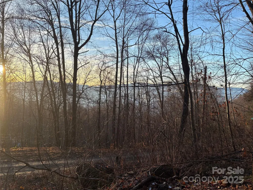 899 Hyacinth Drive Clyde, NC 28721