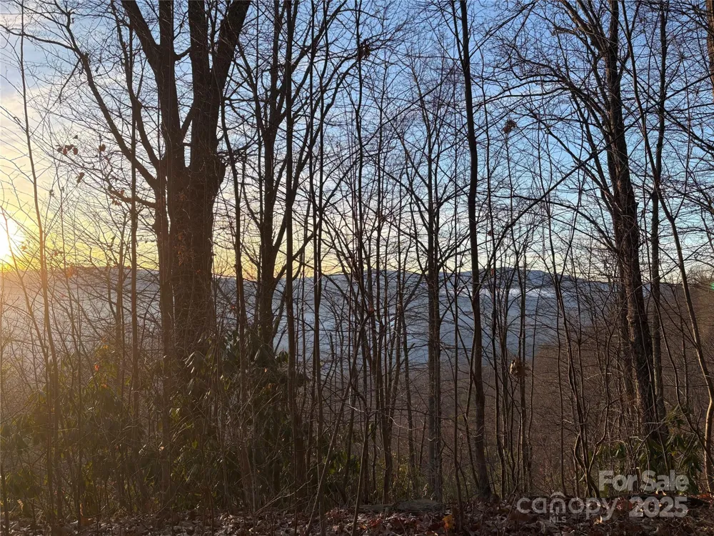 899 Hyacinth Drive Clyde, NC 28721