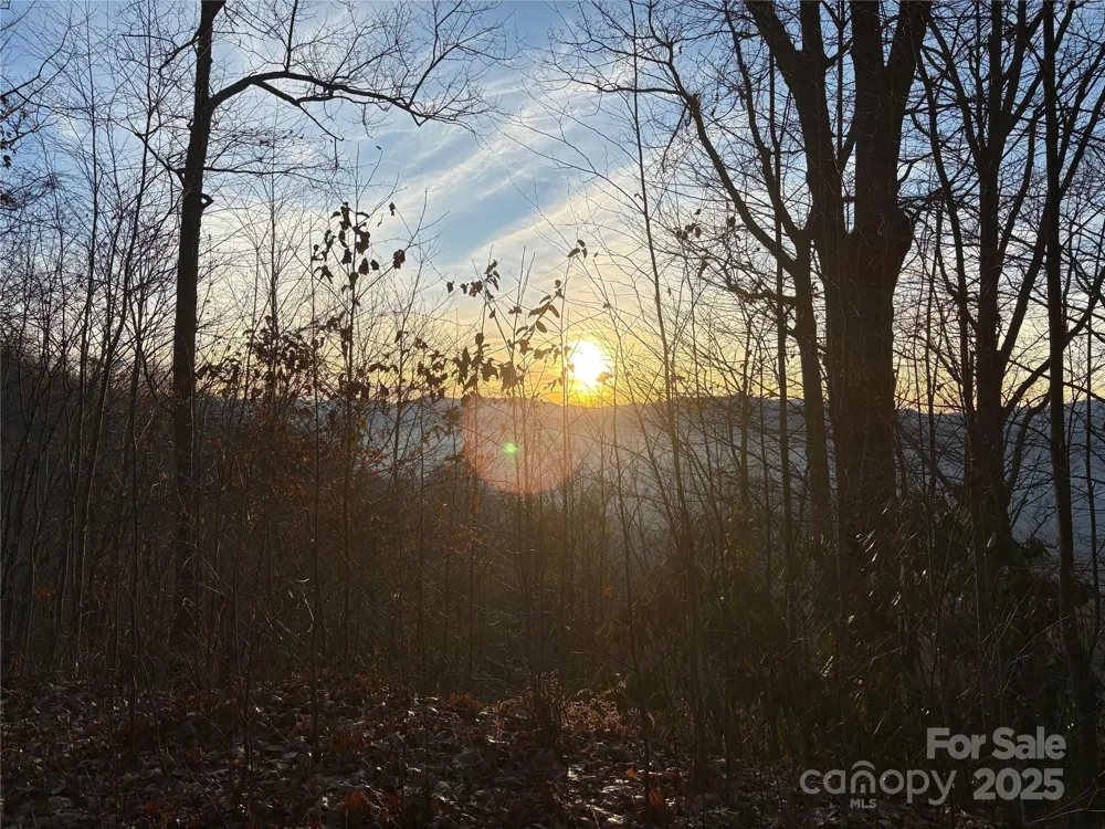 899 Hyacinth Drive Clyde, NC 28721
