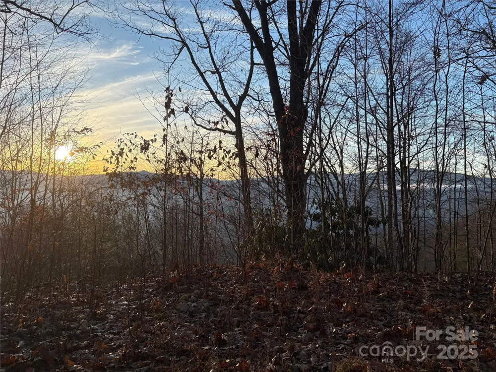 899 Hyacinth Drive Clyde, NC 28721