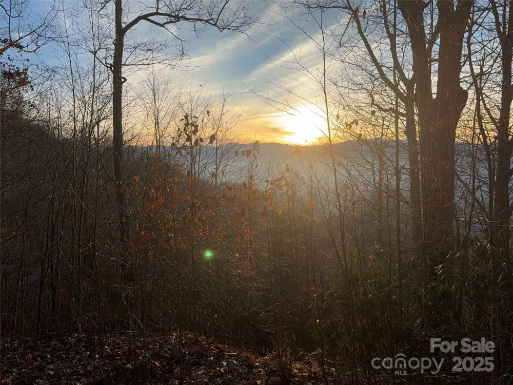 899 Hyacinth Drive Clyde, NC 28721