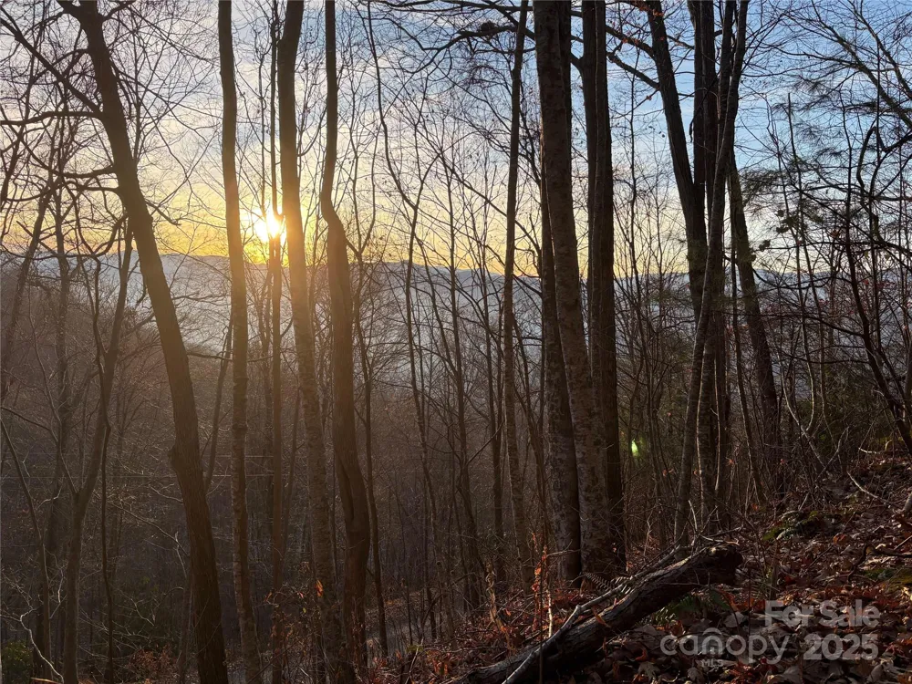 899 Hyacinth Drive Clyde, NC 28721