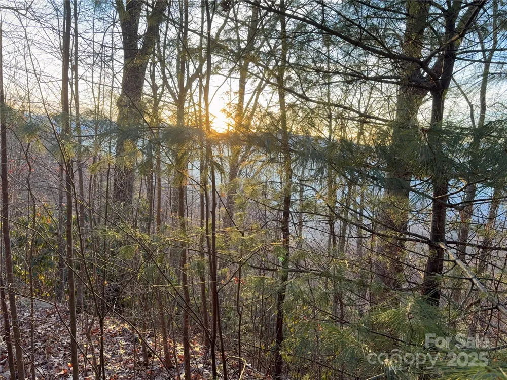 899 Hyacinth Drive Clyde, NC 28721