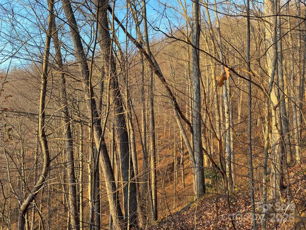 899 Hyacinth Drive Clyde, NC 28721