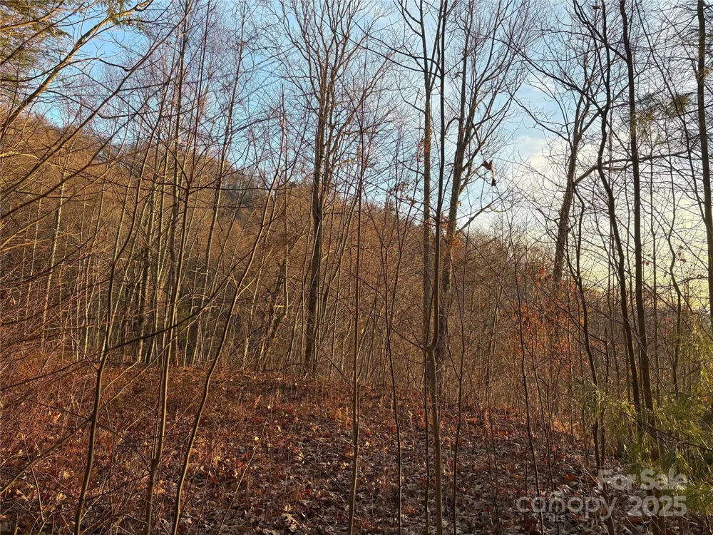 899 Hyacinth Drive Clyde, NC 28721