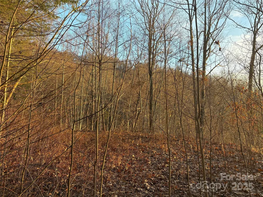 899 Hyacinth Drive Clyde, NC 28721