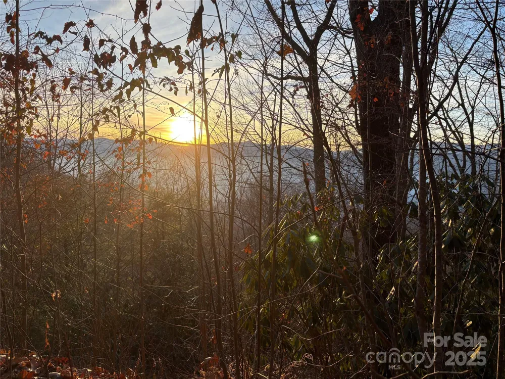 899 Hyacinth Drive Clyde, NC 28721