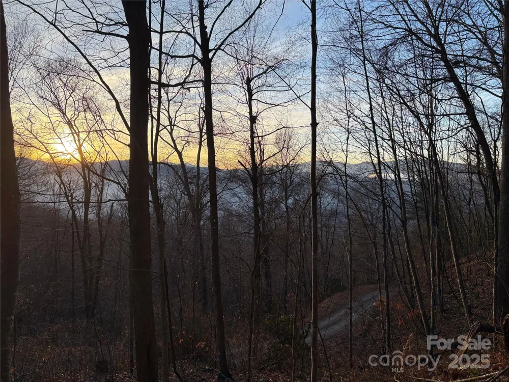 899 Hyacinth Drive Clyde, NC 28721
