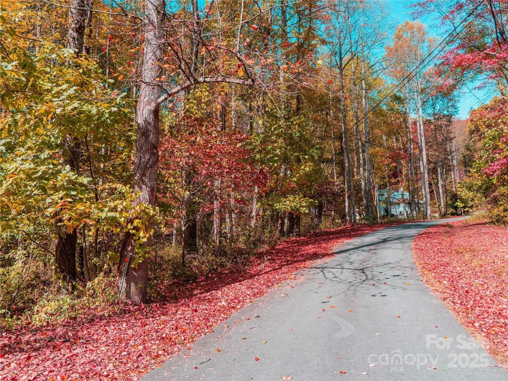 9999 Lovebird Lane #20,19,17,23 Candler, NC 28715