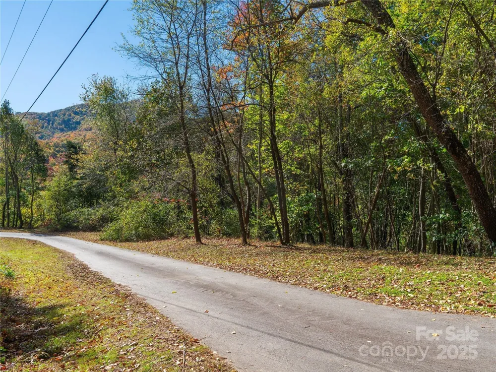 9999 Lovebird Lane #20,19,17,23 Candler, NC 28715
