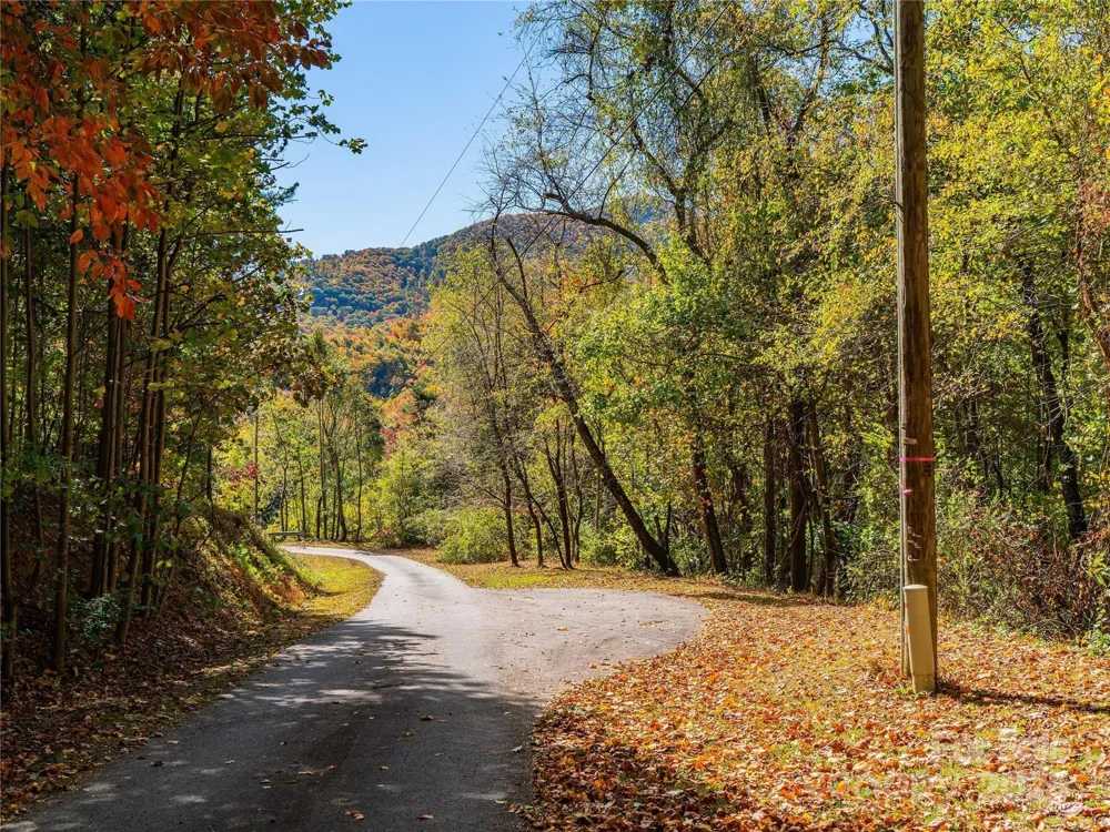 9999 Lovebird Lane #20,19,17,23 Candler, NC 28715