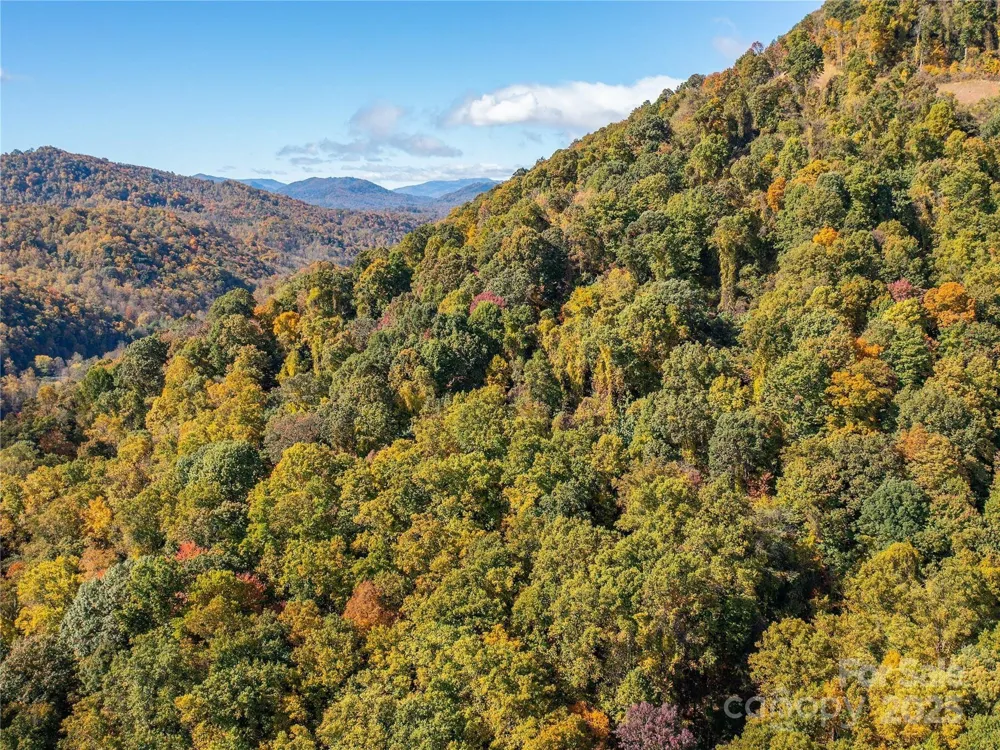9999 Lovebird Lane #20,19,17,23 Candler, NC 28715