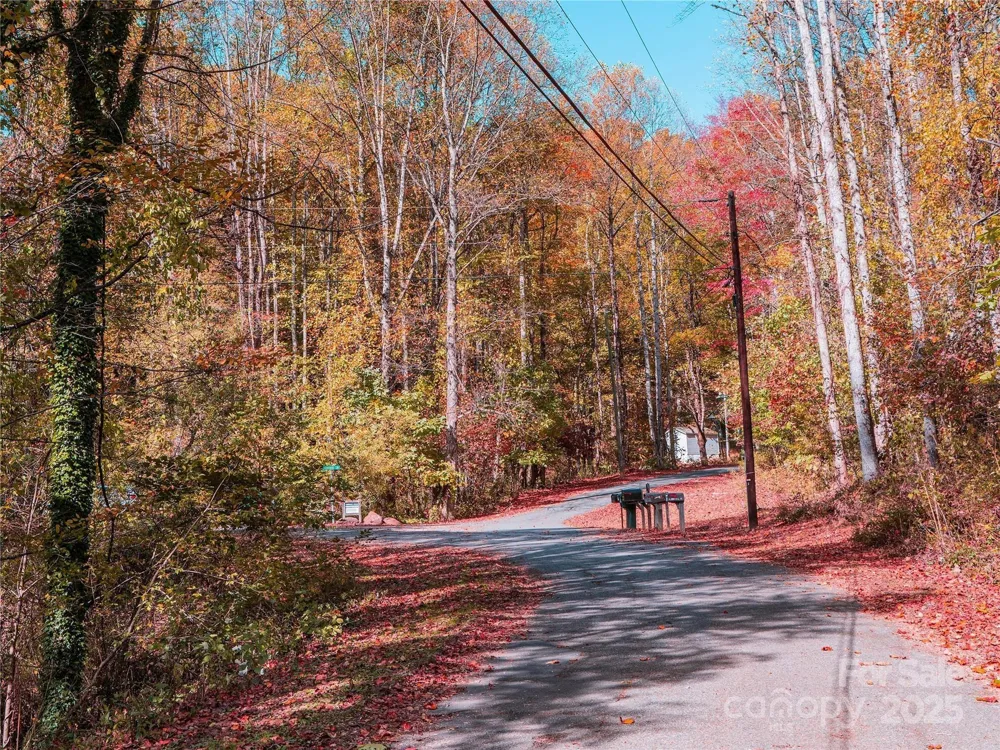 9999 Lovebird Lane #20,19,17,23 Candler, NC 28715