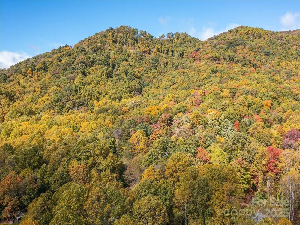 9999 Lovebird Lane #20,19,17,23 Candler, NC 28715