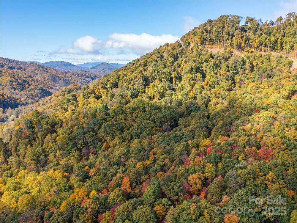 9999 Lovebird Lane #20,19,17,23 Candler, NC 28715