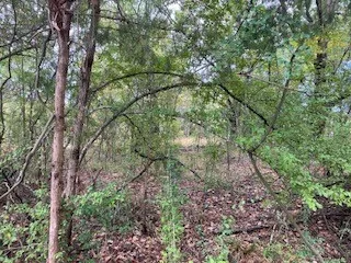 Westwood Drive Trinidad, TX 75163