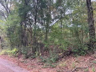 Westwood Drive Trinidad, TX 75163