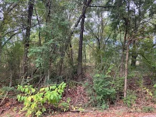 Westwood Drive Trinidad, TX 75163