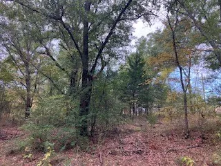 Westwood Drive