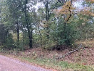 Westwood Drive Trinidad, TX 75163