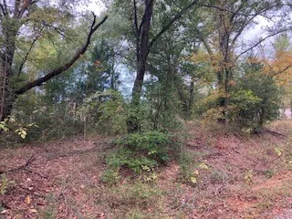 Westwood Drive Trinidad, TX 75163