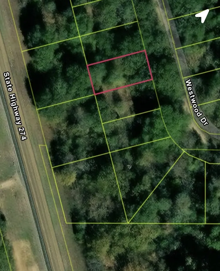 Westwood Drive Trinidad, TX 75163