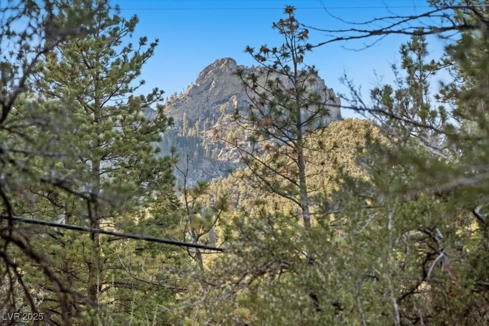 4101 Mont Blanc Way Mount Charleston, NV 89124