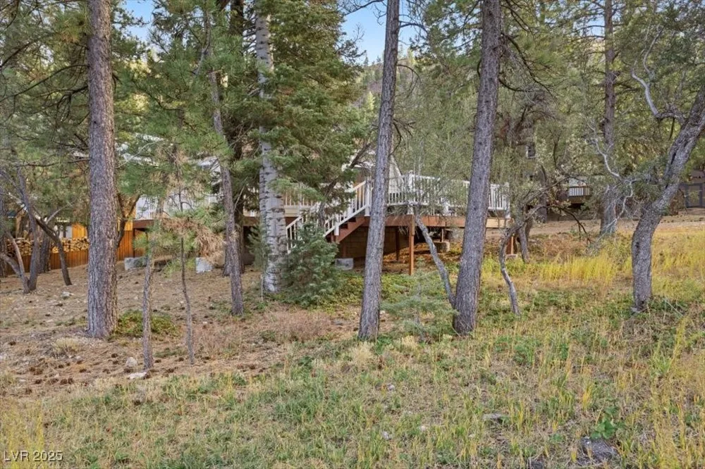 4101 Mont Blanc Way Mount Charleston, NV 89124