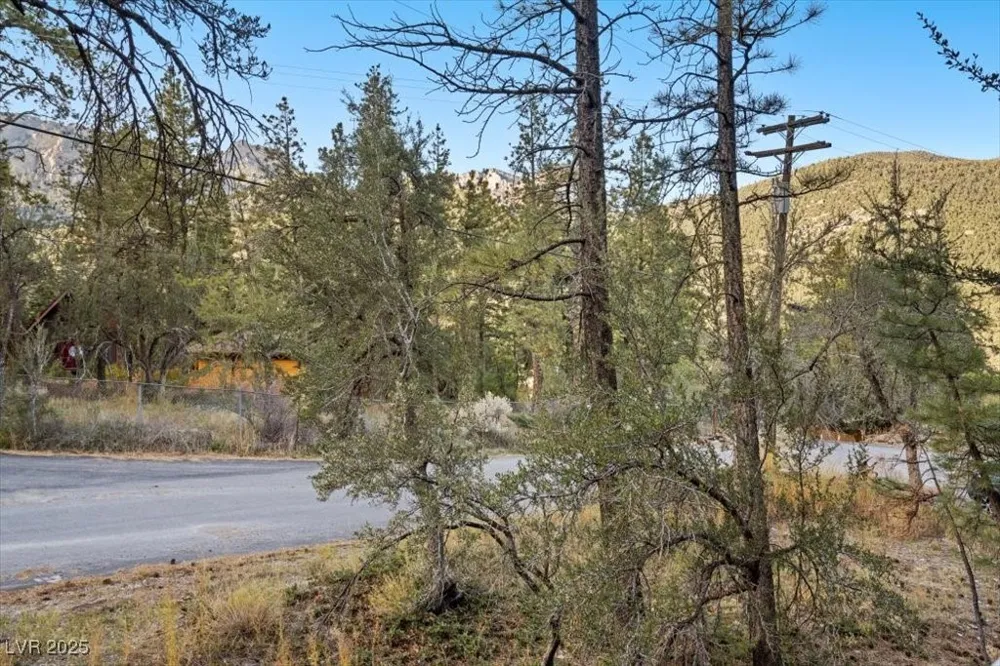 4101 Mont Blanc Way Mount Charleston, NV 89124