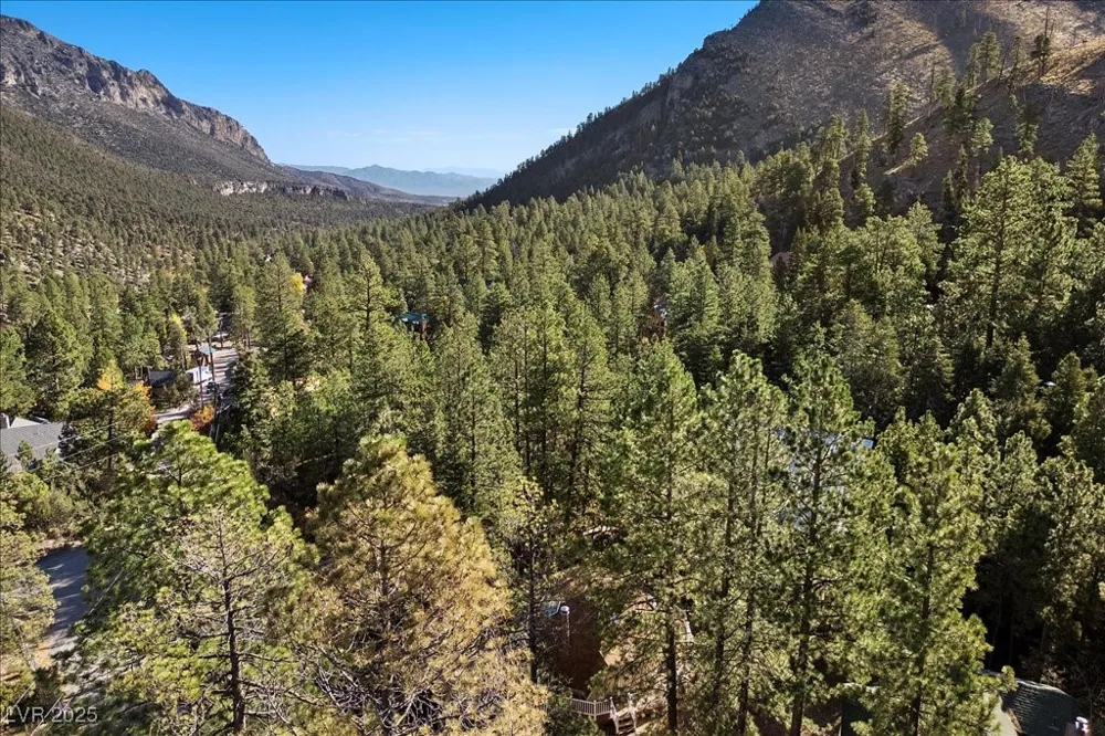 4101 Mont Blanc Way Mount Charleston, NV 89124
