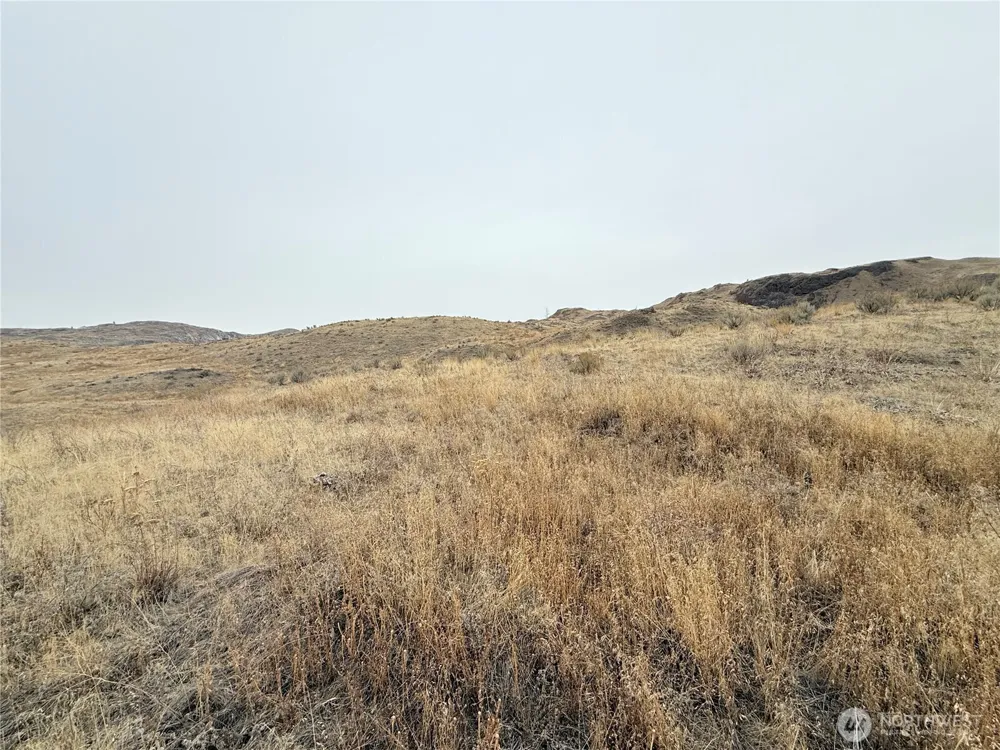 161 Weatherstone Rd Riverside, WA 98849
