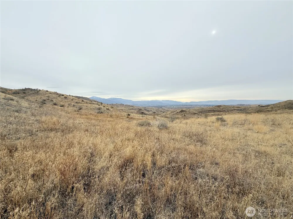 161 Weatherstone Rd Riverside, WA 98849