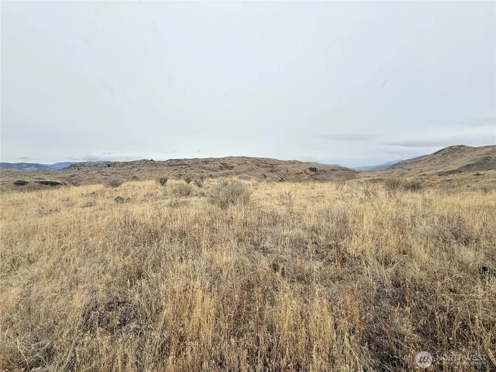 161 Weatherstone Rd Riverside, WA 98849