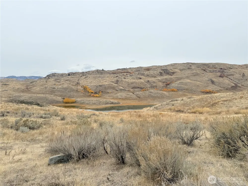 161 Weatherstone Rd Riverside, WA 98849
