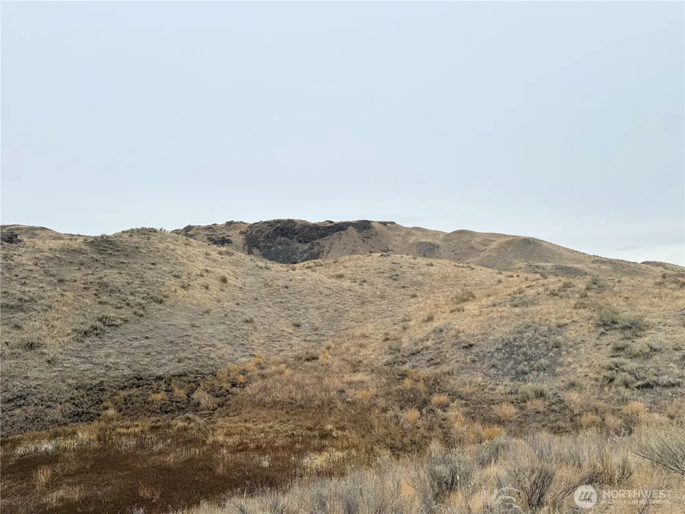161 Weatherstone Rd Riverside, WA 98849