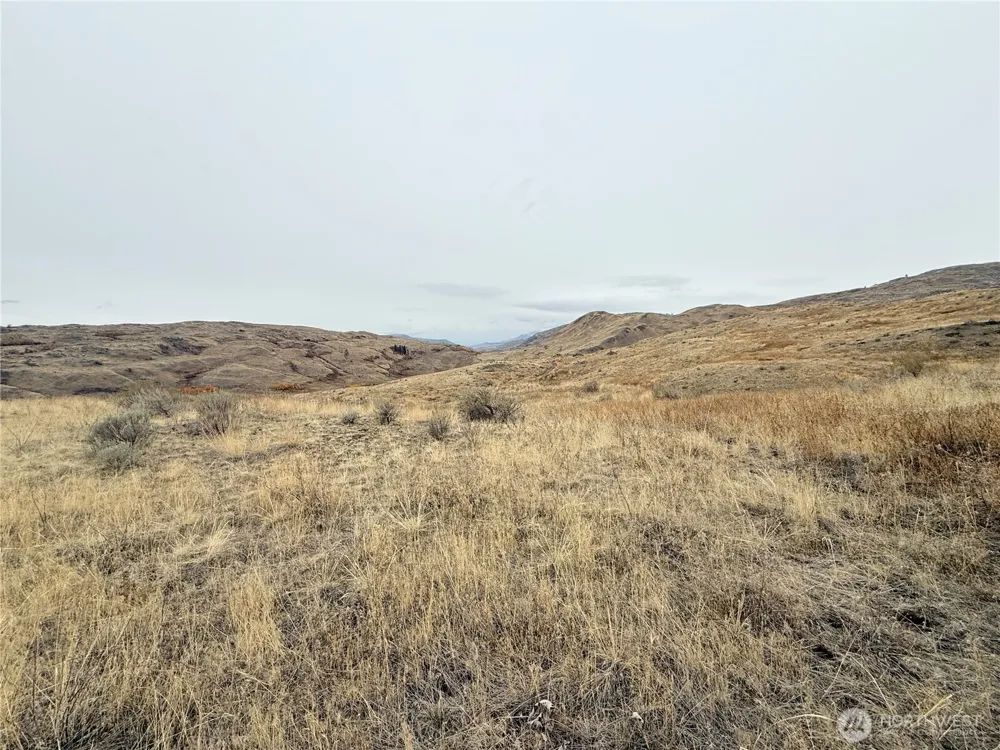 161 Weatherstone Rd Riverside, WA 98849