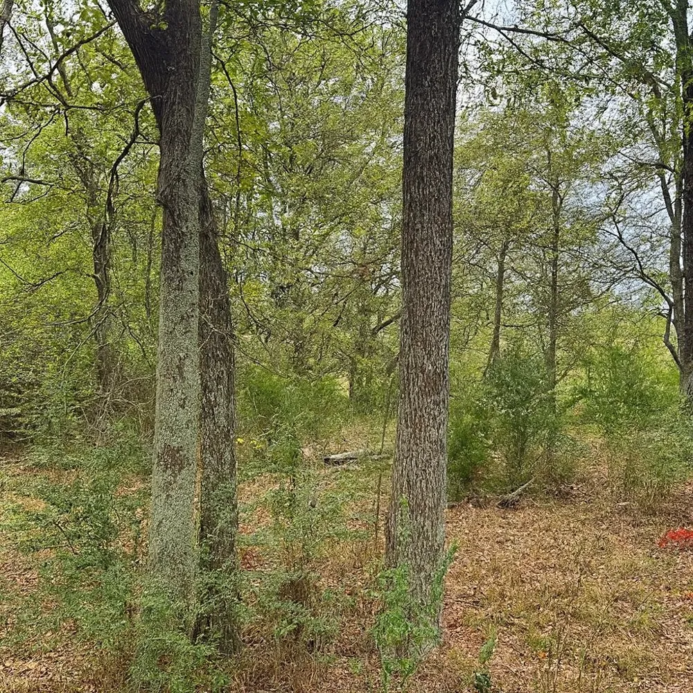 VZCR 1118 Grand Saline, TX 75140
