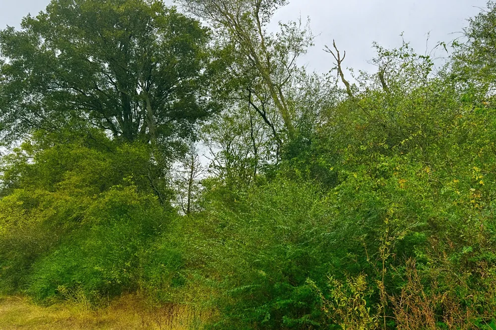 VZCR 1118 Grand Saline, TX 75140