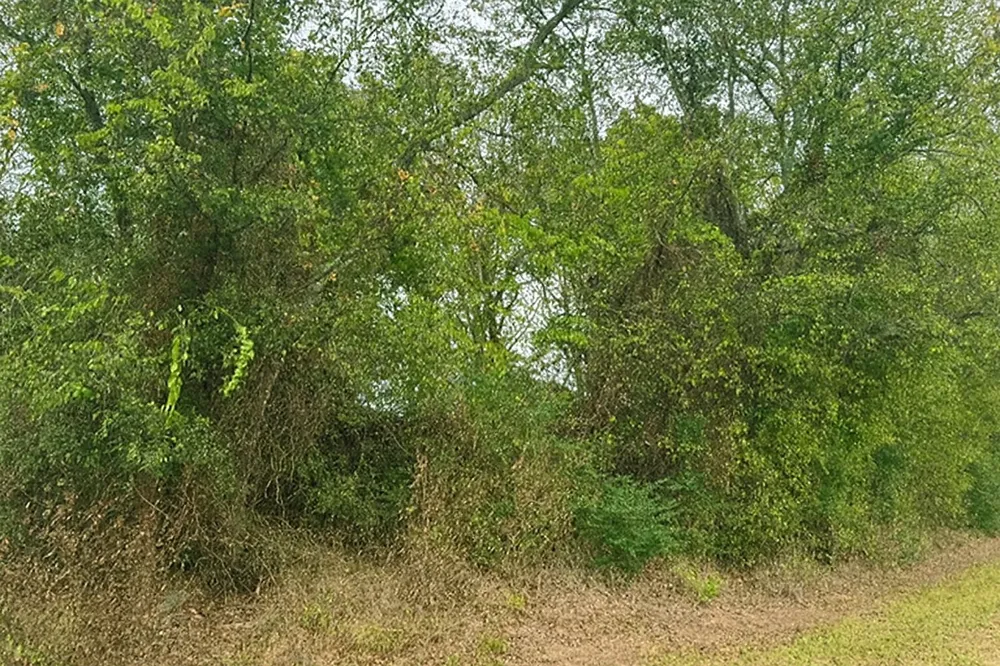 VZCR 1118 Grand Saline, TX 75140