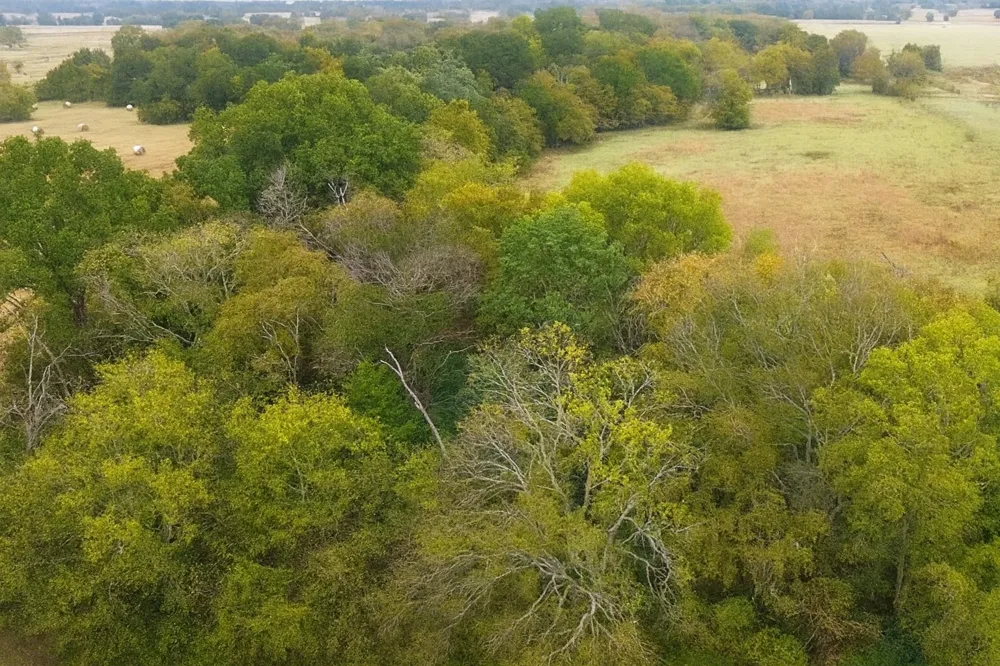 VZCR 1118 Grand Saline, TX 75140