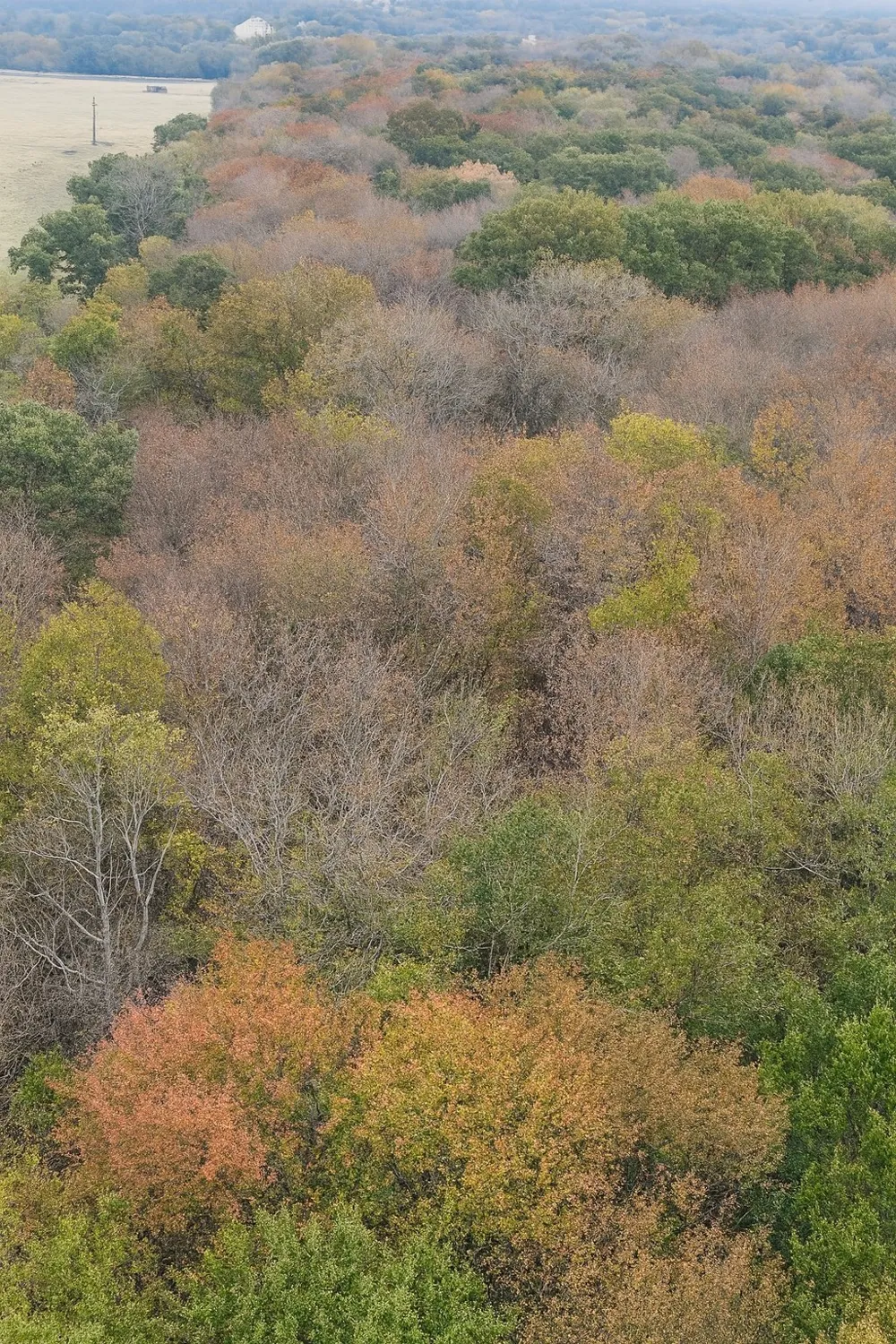 VZCR 1118 Grand Saline, TX 75140